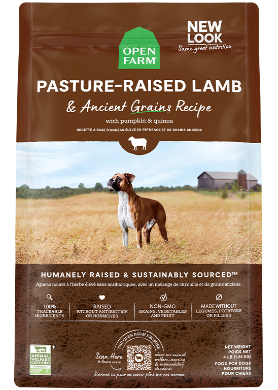 Pasture Raised Lamb Ancient Grains Dry Dog Food