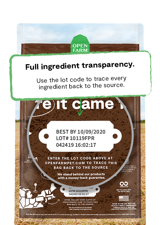 Pasture-Raised Lamb & Ancient Grains Dry Dog Food