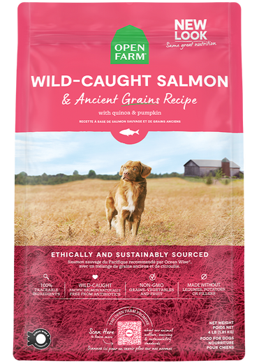 Wild-Caught Salmon & Ancient Grains Dry Dog Food