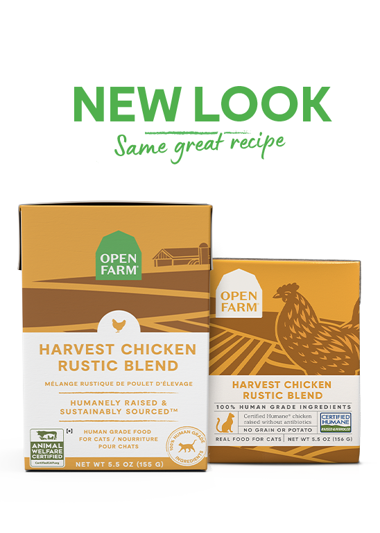 Harvest Chicken Rustic Blend Wet Cat Food