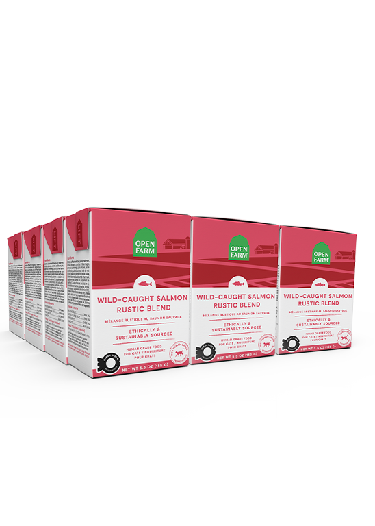 Wild-Caught Salmon Rustic Blend Cat Food