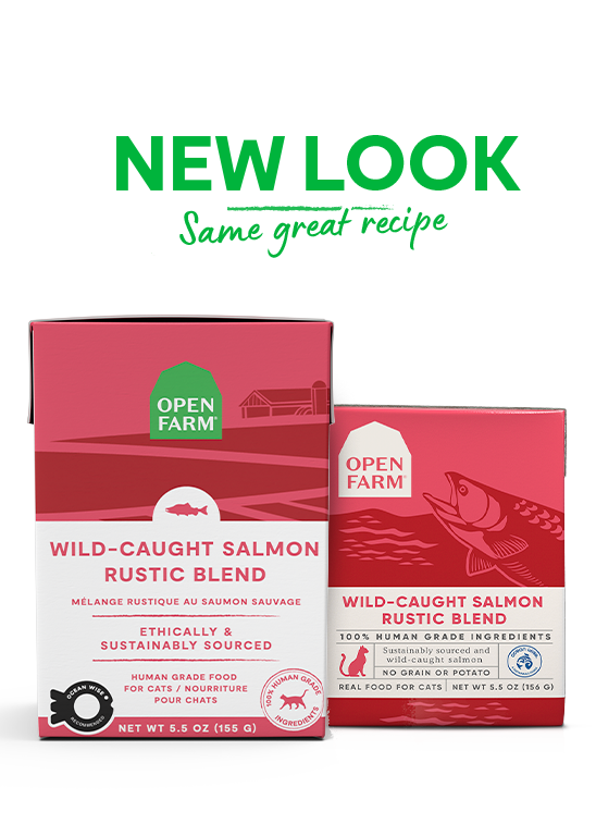 Wild-Caught Salmon Rustic Blend Cat Food