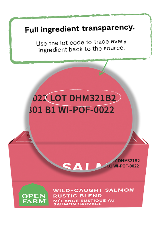 Wild-Caught Salmon Rustic Blend Cat Food