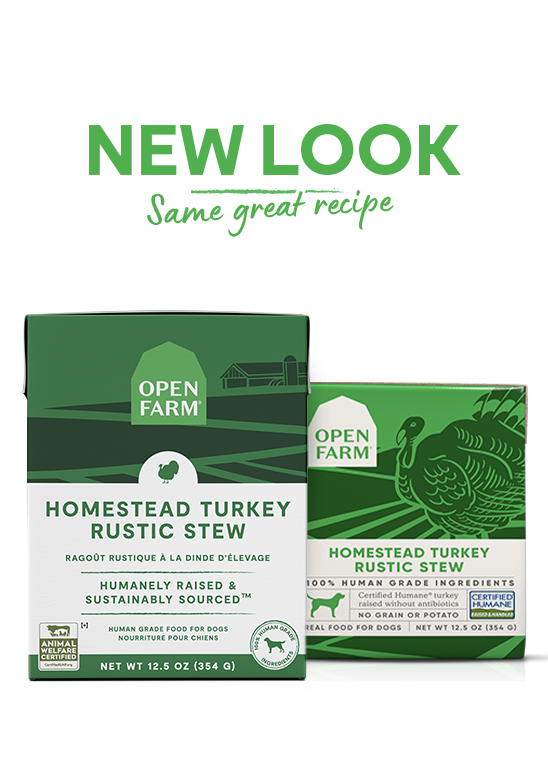 Homestead Turkey Rustic Stew Wet Dog Food