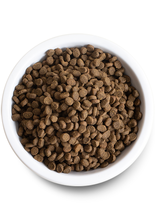 Wild-Caught Salmon Dry Cat Food