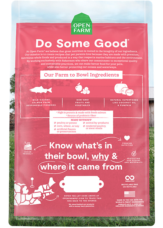 Wild-Caught Salmon Dry Cat Food