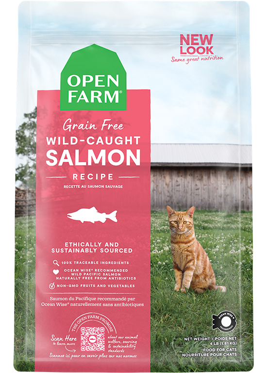Wild-Caught Salmon Dry Cat Food - Main Image