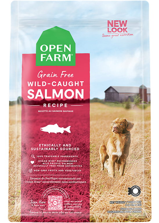 Wild-Caught Salmon Dry Dog Food - Main Image