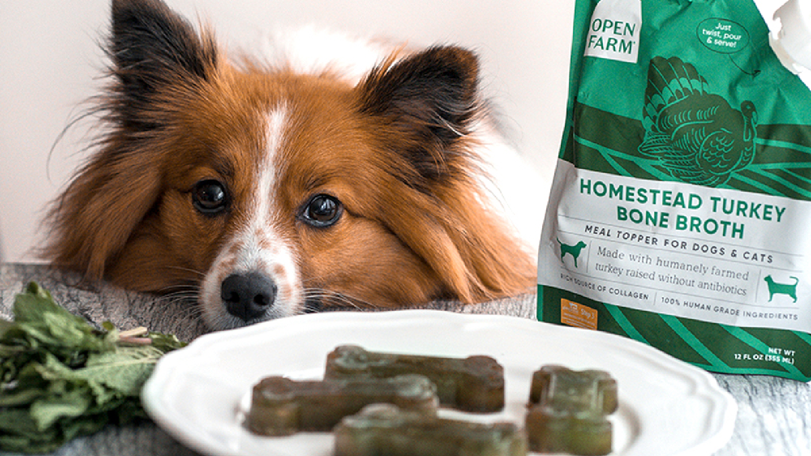 Bone Broth Dog Treats for Bad Breath | – Open Farm - Australia