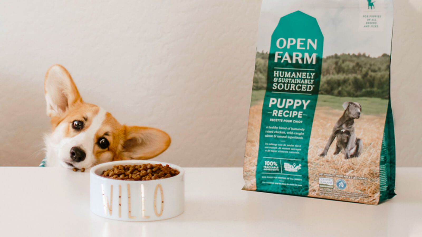 How To Select The Best Puppy Food | Open Farm – Open Farm - Australia