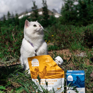 @openfarmpet on Instagram