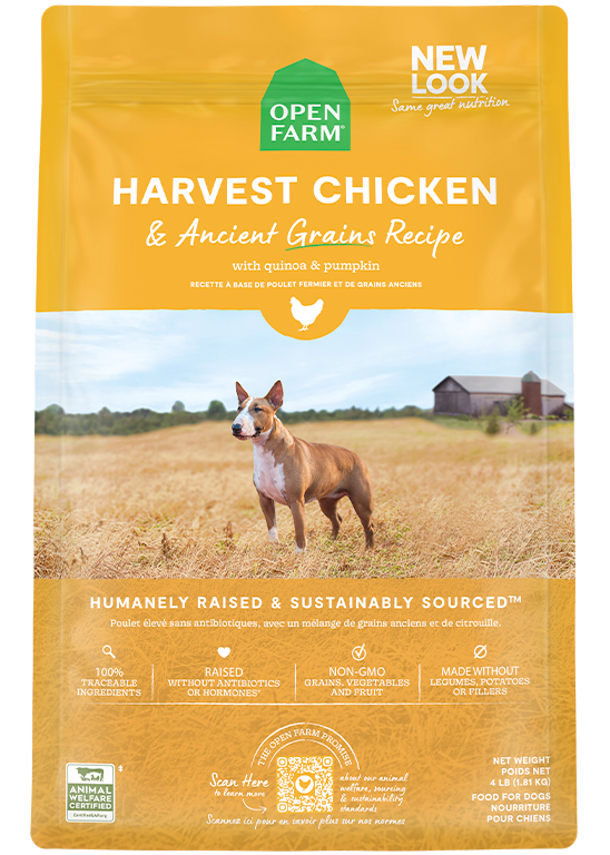Harvest Chicken & Ancient Grains Dry Dog Food