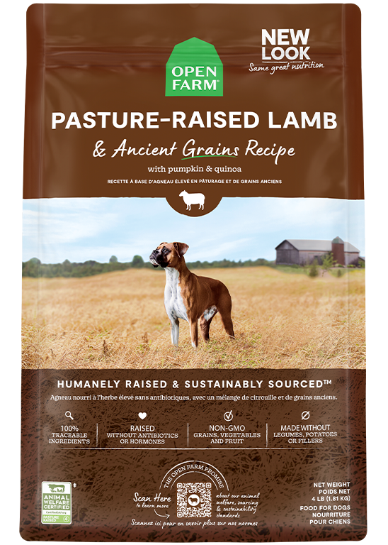 Pasture-Raised Lamb & Ancient Grains Dry Dog Food