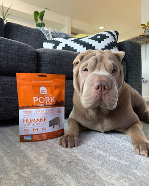 @openfarmpet on Instagram