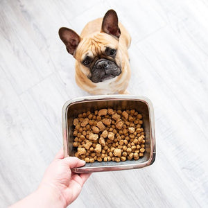 @openfarmpet on Instagram