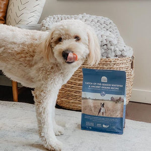 @openfarmpet on Instagram